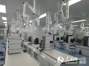 山東羅欣制藥 以創新為翼，打破國外壟斷，引領醫藥研發與國際水平同步前行